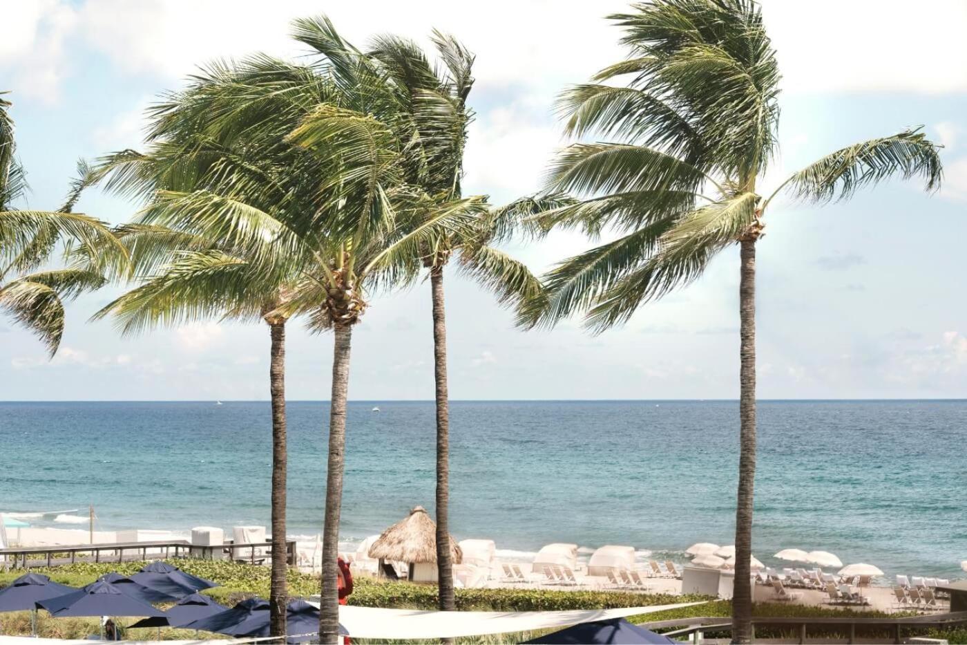 Beach Club At The Boca Raton Εξωτερικό φωτογραφία